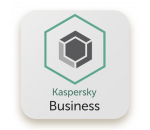 kaspersky-business