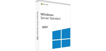 windows-server-2022-standard_1000849425