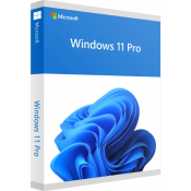 windows-11-pro_785459536