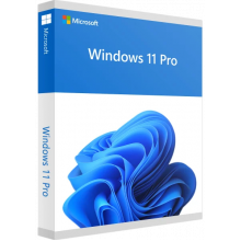 windows-11-pro_785459536