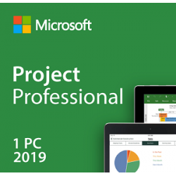 project_2019_professional