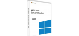 windows-server-2022-standard_1000849425