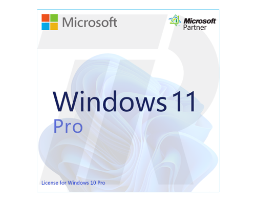 windows-11-pro