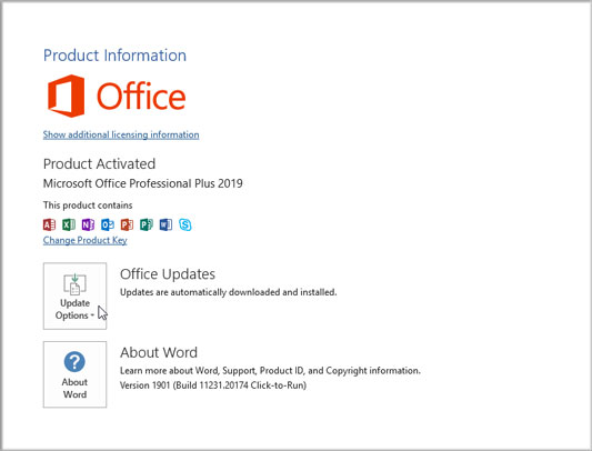 Office 2019 Pro Plus